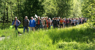 Interessierte können im Mai und Juni wieder drei geführte Wanderungen mit dem „Eifelverein Mechernich“ unternehmen. Symbolbild: Ruth Weitz/pixabay/pp/Agentur ProfiPress
