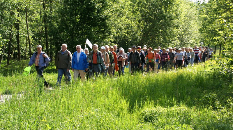 Interessierte können im Mai und Juni wieder drei geführte Wanderungen mit dem „Eifelverein Mechernich“ unternehmen. Symbolbild: Ruth Weitz/pixabay/pp/Agentur ProfiPress