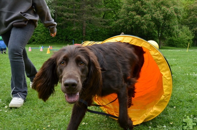 Die Aktionen sind Teil von „Sport im Park Kids“, das auch ein Ferienprogramm von 14. bis 25. Juli bietet.