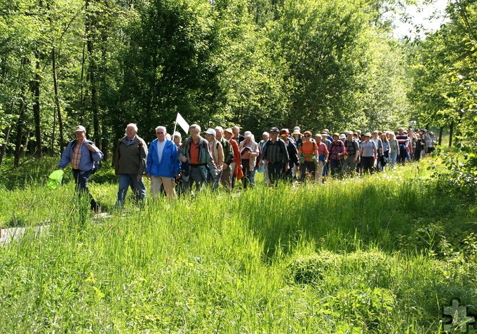 Interessierte können im Mai und Juni wieder drei geführte Wanderungen mit dem „Eifelverein Mechernich“ unternehmen. Symbolbild: Ruth Weitz/pixabay/pp/Agentur ProfiPress