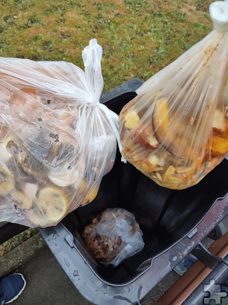 Auch Plastikbeutel oder Biokunststoffmüllbeutel gehören nicht in die Biotonne. Papiermüllbeutel oder Zeitungen hingegen, dürfen zum Entsorgen von Bioabfall genutzt werden. Foto: Karen Beuke/Kreis Euskirchen/pp/Agentur ProfiPress