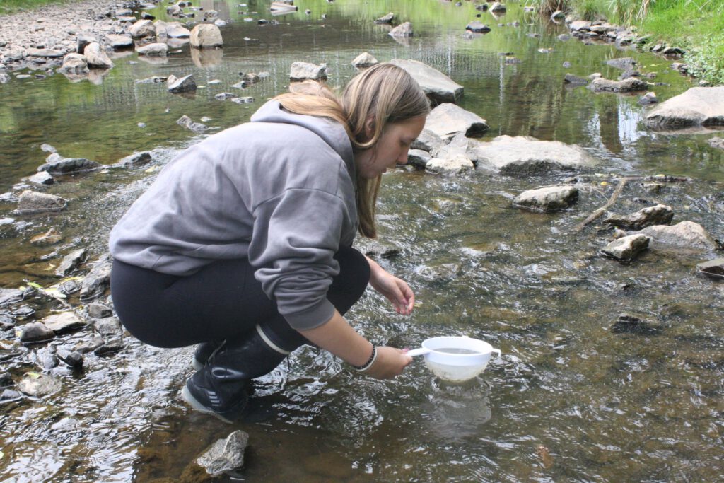Im fließenden Wasser entdeckten die Schülerinne und Schüler heimische Arten wie räuberische Libellenlarven, Steinfliegen- oder Köcherfliegenlarven. Foto: Andreas Maikranz/pp/Agentur ProfiPress