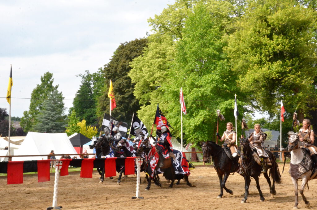 Beim Turnier duellierten sich jeweils 4 Reiter und Reiterinnen beider Königshäuser. Für die Kriegerinnen “Valkyriens” ging es dabei um die Befreiung ihrer Königin.