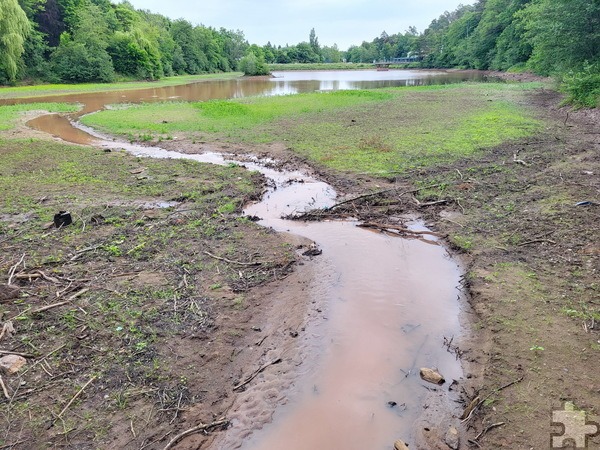 Der Kommerner Mühlensee ist derzeit kaum wiederzuerkennen: Wo sich sonst ein vom Buntsandstein bräunlicher ruhiger Wasserspiegel ausbreitet, grünt und wächst es. Nur im untern Drittel ein Restsee, zum Mühlenpark hin ist das ursprüngliche Bachbett des Bleibachs wieder zu erkennen. Foto: Manfred Lang/pp/Agentur ProfiPress