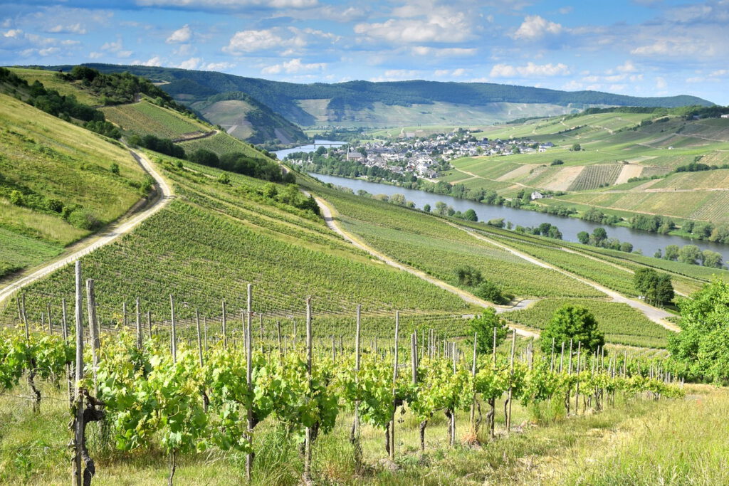 Das Rote Kreuz im Kreis Euskirchen bietet im Sommer, Herbst und Winter begleitete Tagestouren an. Sie führen zu den schönsten Sehenswürdigkeiten an Rhein und Mosel… Symbolbild: DRK-Kreisverband Euskirchen/pixabay/pp/Agentur ProfiPress