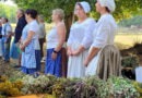 Monika Blaeser, Anita Wolfgarten, Petra Spürkel und Jenny Zimmermann, die Hauswirtschafterinnen des LVR-Freilichtmuseums Kommern hatten neun verschiedene Heilkräuter und Nutzpflanzen gesammelt, die sie am Festtag Maria Himmelfahrt nach einer Segensfeier zu Krautwischen banden und an die Museumsbesucher verschenkten. Foto: Sabine Roggendorf/pp/Agentur ProfiPress