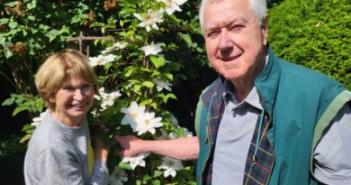 Monika und Willi Hamacher in ihrem Garten auf dem Johannesberg: Nicht immer waren sie in 50 Jahren glücklich über die Mechernicher Kommunalpolitik. Erst Bürgermeister Dr. Hans-Peter Schick sei es in den vergangenen 15 Jahren gelungen, nennenswerte Neubaugebiete und attraktive Geschäftsbauten anzusiedeln. Foto: Manfred Lang/pp/Agentur ProfiPress