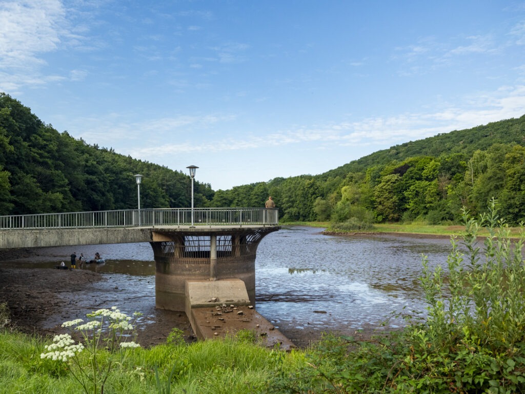 Unerwartet hoch haben sich die Sedimente über die Jahrzehnte im Mühlensee angesammelt. Dadurch bildete sich kein Restsee, der eigentlich als Rückzugsraum für die Fische dienen sollte. Foto: Ronald Larmann/pp/Agentur ProfiPress