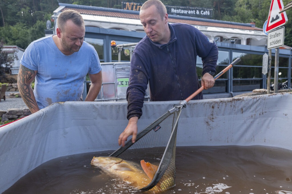 Das Team der Fischereigemeinschaft Mechernich-Schleiden um den zweiten Vorsitzenden Stefan Zdralek (r.) sorgte dafür, dass die überlebenden Fische über Zwischenbecken der Feuerwehr Kommern später in andere Gewässer umgesetzt wurden. Foto: Ronald Larmann/pp/Agentur ProfiPress