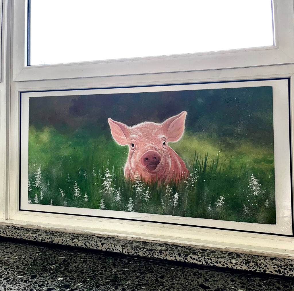Auch ein Schwein, Teil des Themas „Bauernhof“, weckte bereits das Interesse der Bewohnerinnen und Bewohner. Foto: Haus Effata/CIC/pp/Agentur ProfiPress