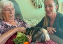 „Tiere sind ein Wundermittel“