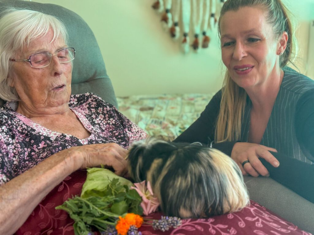 „Kuckuck, wer bist Du denn?“ Im Senioren- und Pflegeheim Haus Agnes Bertram bekommen Bewohnerinnen wie Ingeborg Seibert auf Wunsch flauschigen Besuch am Bett. Damit das professionell abläuft, hat Altenpflegerin Claudia Schmühl eine Zusatzausbildung zur „Fachkraft für Tiergestützte Therapie“ absolviert. Foto: Privat/pp/ Agentur ProfiPress