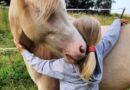 „Tiere sind ein Wundermittel“