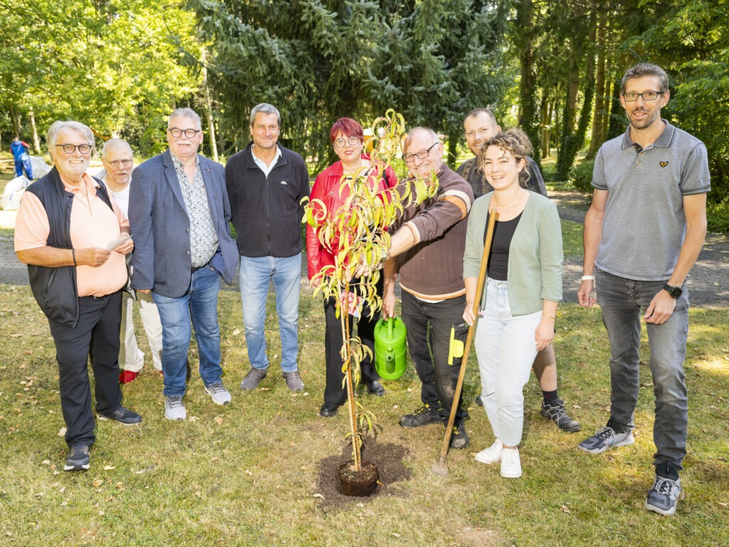 Neuer Pfirsichbaum im Park von Haus Sonne gepflanzt. Mit dabei waren Geschäftsführer Eberhard Kremer (v.l.), Bewohner Udo Schulz, die SPD-Vertreter Rolf Winter, Michael Braun und Simone Ewertz, Arbeitstherapeut Horst Berbuir, Landschaftsgärtner Daniel Skudayski, Hausleitung Clara Schneider und Qualitätsmanager Thomas Hochgürtel. Foto: Ronald Larmann/pp/Agentur ProfiPress