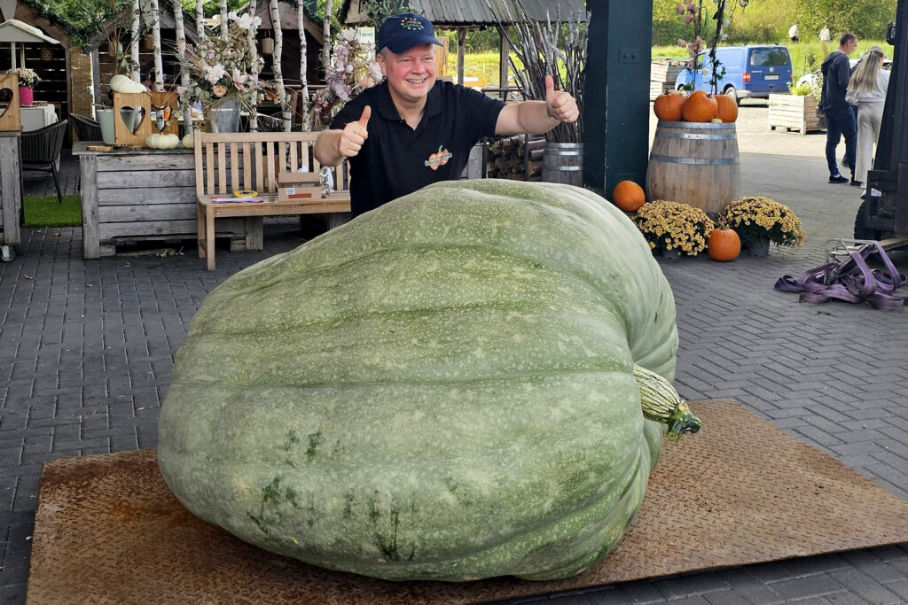 Daumen hoch: Andreas Wild siegte mit seinem 633,5 Kilogramm schweren, grünen Kürbis bei der 14. NRW-Kürbiswiegemeisterschaft auf dem Krewelshof Lohmar. Foto: Krewelshof/pp/Agentur ProfiPress