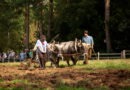 Was passiert „nach der Ernte“?