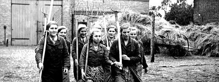 In Reih und Glied in die Heuernte: Neue Beiträge im Online-Blog des Museums berichten von der Entwicklung der Landwirtschaft – von Flächenzusammenlegungen und Meliorationen im 19. Jahrhundert über die Rolle der Forschung bis hin zur ideologischen Vereinnahmung durch den Nationalsozialismus. Repro: Manfred Lang/pp/Agentur ProfiPress