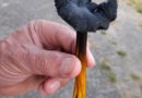 Saftling, Krempling und Fliegentöter…