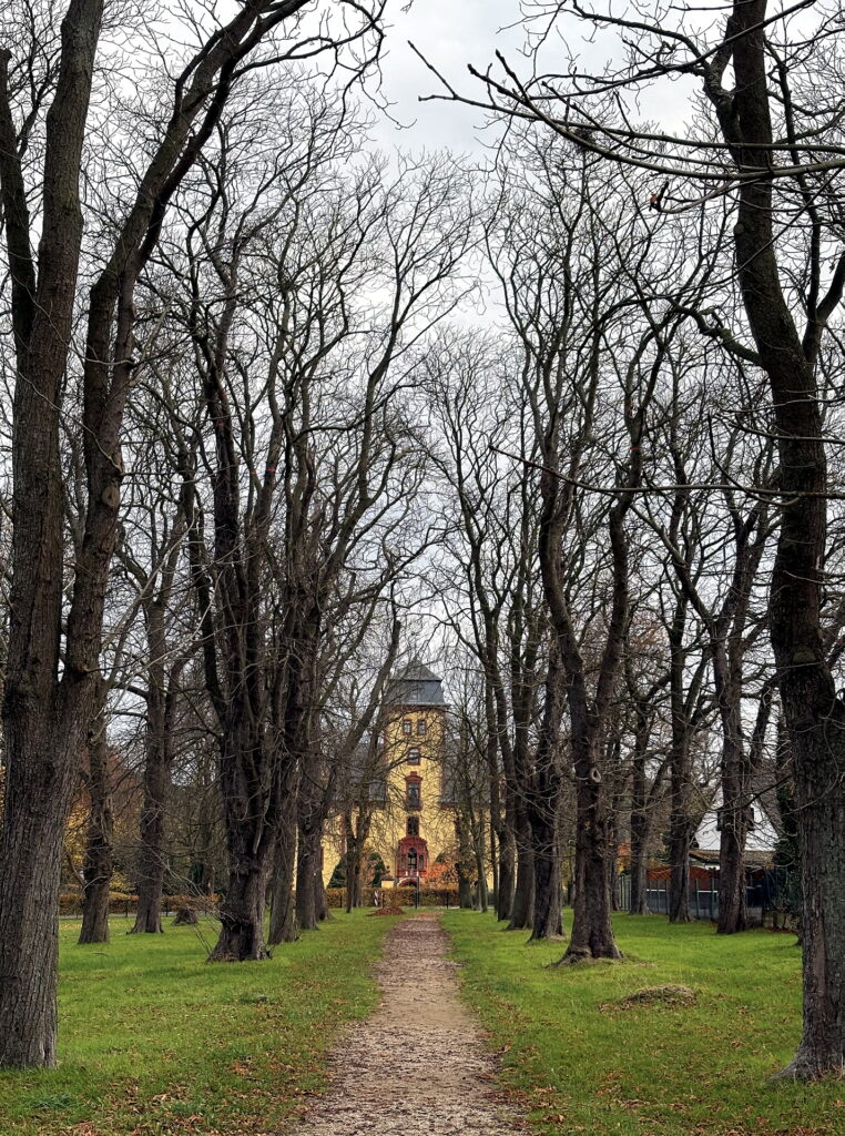 Die weißblütigen Rosskastanien in der Allee wurden um 1900 aus ästhetischen Gründen von der damaligen Wachendorfer Schlossherrin gepflanzt. Heute leiden die Kastanien an einer Komplexkrankheit, bei der Miniermotte, Pilze und Bakterien die Bäume auf Dauer schädigen. Foto: Kerstin Rottland/pp/Agentur ProfiPress
