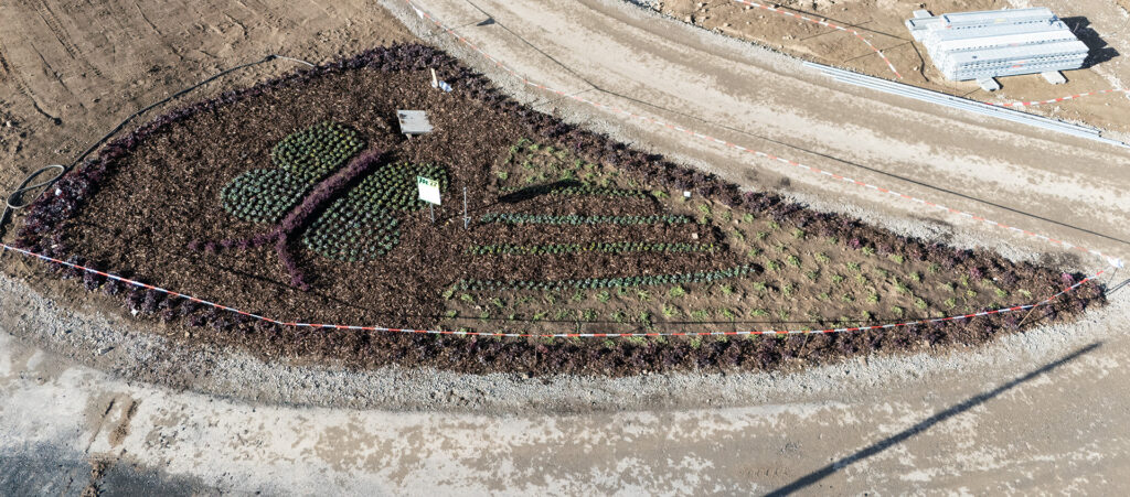 Aus der Luft noch besser zu erkennen: das liebevoll gestaltete „Schmetterlingsbeet“ direkt am „Schmetterlingsweg“. Foto: Henri Grüger/pp/Agentur ProfiPress