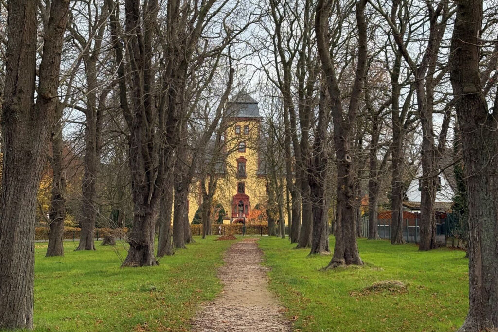 Bald wieder sicher: Pünktlich zur Laubsammelaktion wird die Kastanienallee in Wachendorf für Passanten geöffnet. Zuvor hatte die Stadt zwei Bäume aus Sicherheitsgründen fällen lassen müssen. Foto: Kerstin Rottland/pp/Agentur ProfiPress 