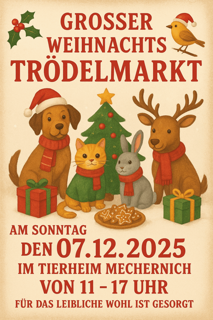 Dieses Plakat wirbt für den Trödelmarkt am Sonntag, 7. Dezember. Grafik: Veranstalter/pp/Agentur ProfiPress
