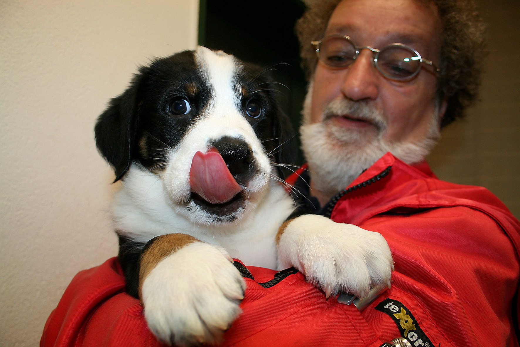 Tierschutzverein versammelt sich