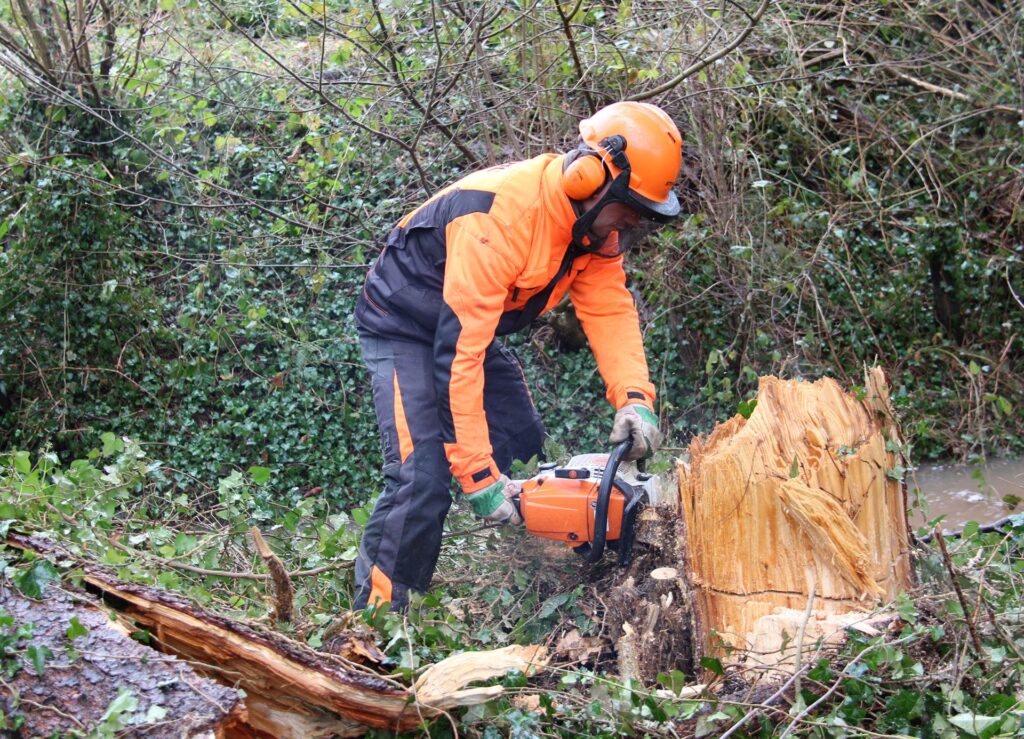 Um die Verkehrssicherheit zu gewährleisten, führt der Erftverband auch in der Vegetationszeit notwendige Arbeiten durch. Bei den Gehölzpflegearbeiten wird auf den Schutz von Vögeln und anderen Tieren Rücksicht genommen. Foto: Erftverband/pp/Agentur ProfiPress