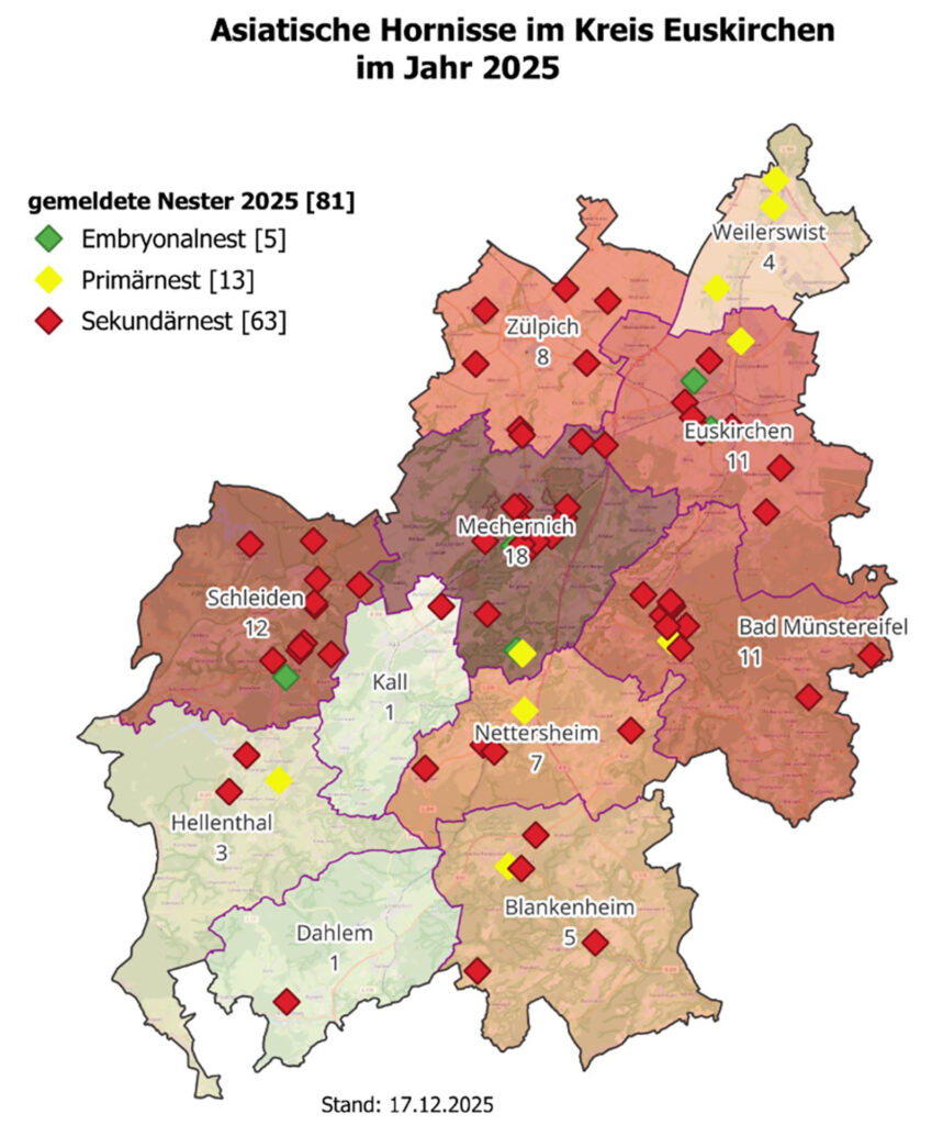 Insgesamt 81 Nester der Asiatischen Hornisse wurden im vergangenen Jahr im Kreis Euskirchen entdeckt. Grafik: Kreis Euskirchen/pp/Agentur ProfiPress