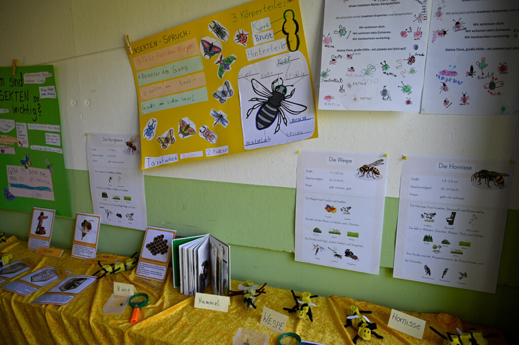 „Drei Teile für den Körper, sechs Beine für den Gang…“ Hier drehte sich alles um die kleinen, hilfreichen Lebewesen namens Insekten, ohne die wir gar nicht existieren würden. Foto: Henri Grüger/pp/Agentur ProfiPress
