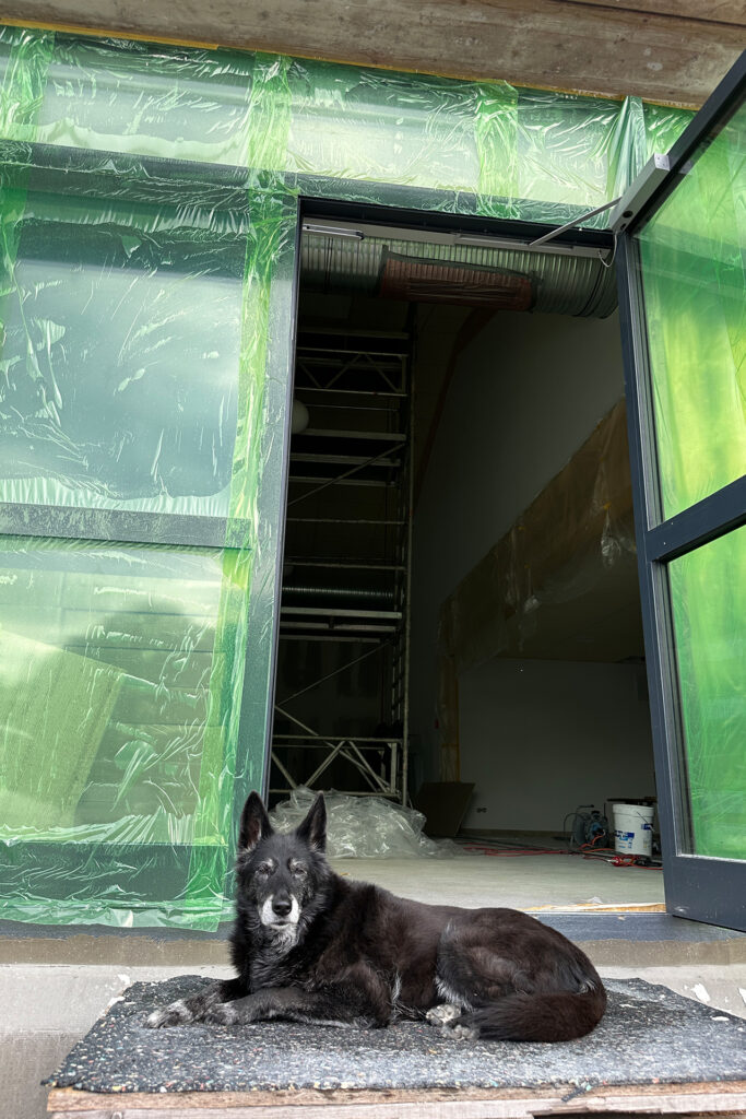 Strenge Bauüberwachung: Baustellenhund Luna hatte alles im Blick. Foto: privat/pp/Agentur ProfiPress