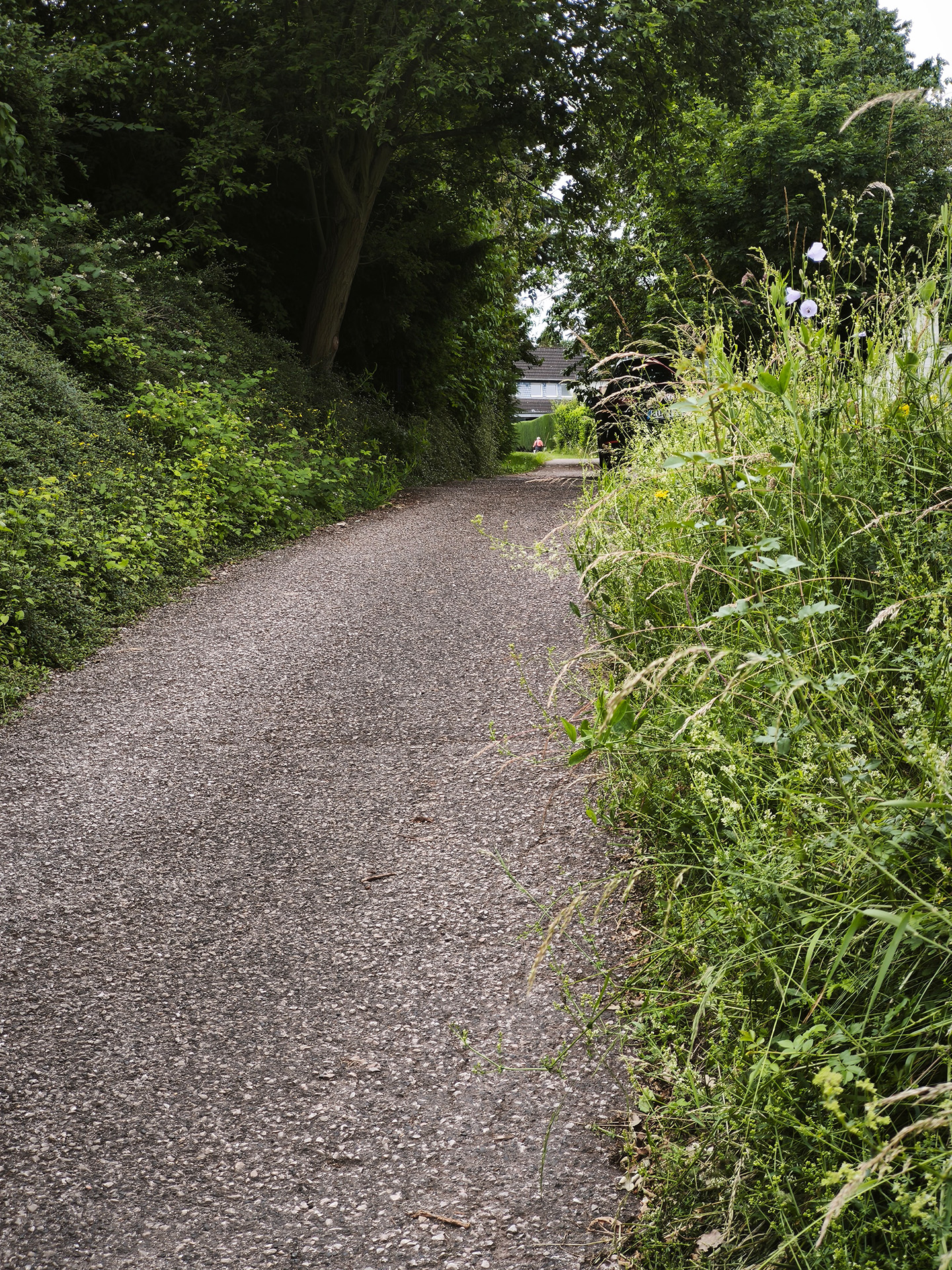 Spaziergänger nutzen ihn, Kinder und Familien sind dort unterwegs, auch Anliegerinnen und Anlieger schätzen die Wegeverbindungen abseits der Straßen. Foto: Kerstin Rottland/pp/Agentur ProfiPress