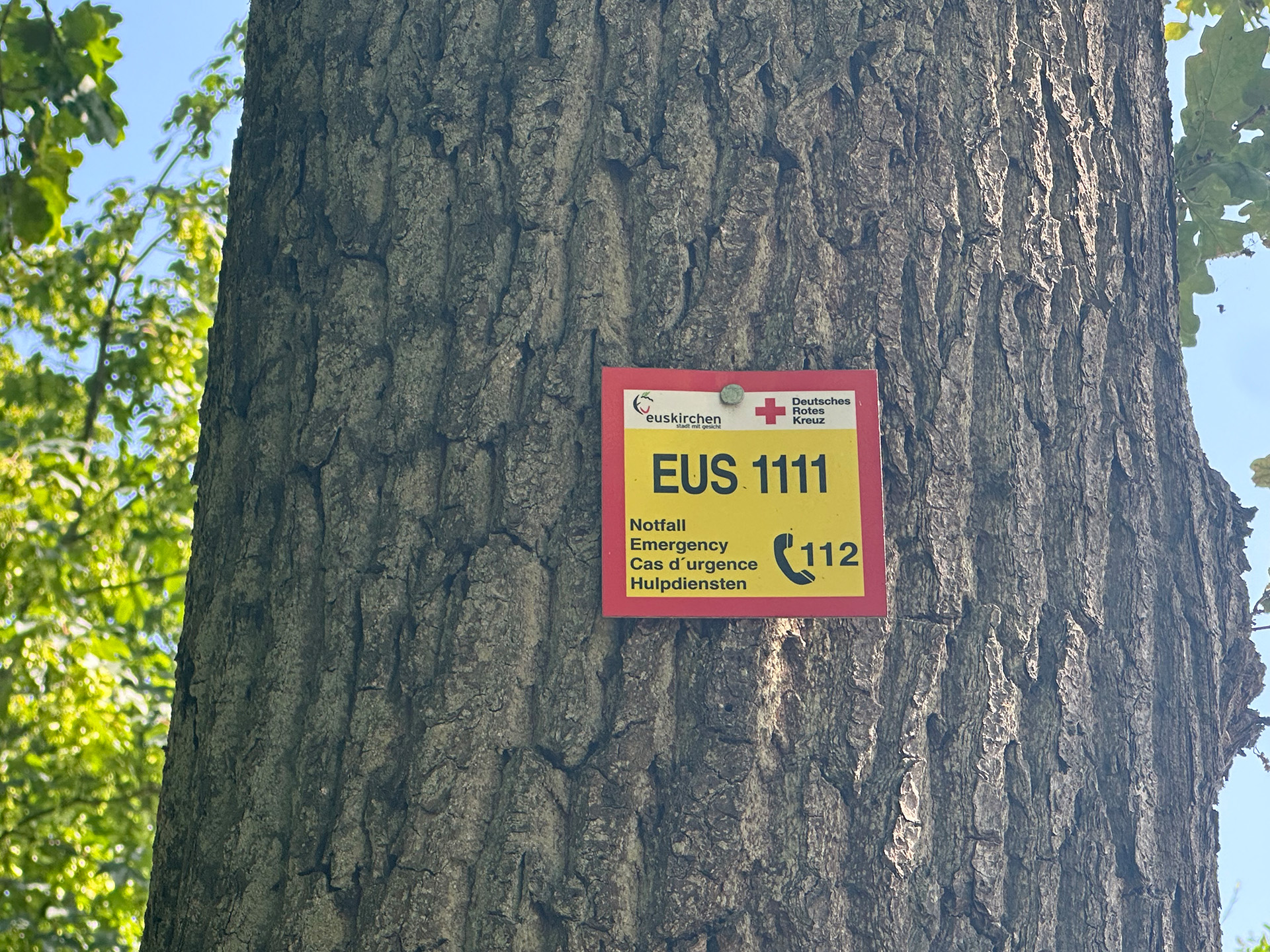 „Ruhe bewahren, aber zügig handeln“ und sich bei Waldbränden in Sicherheit bringen: Wenn möglich, wären laut Kreis zum Beispiel Rettungspunkte wie hier am Euskirchener Stadtwald eine Option. Foto: Kreis Euskirchen/pp/Agentur ProfiPress