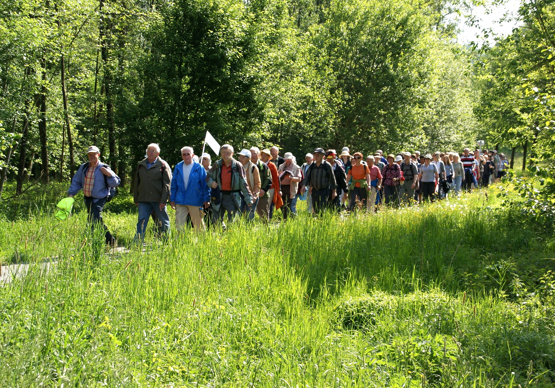 Der Eifelverein Mechernich lädt in den kommenden Wochen zu vier abwechslungsreichen Touren ein. Sie führen durch stille Täler, auf historische Spuren und mitten hinein in den Nationalpark Eifel. Symbolbild: Ruth Weitz/pixabay/pp/Agentur ProfiPress