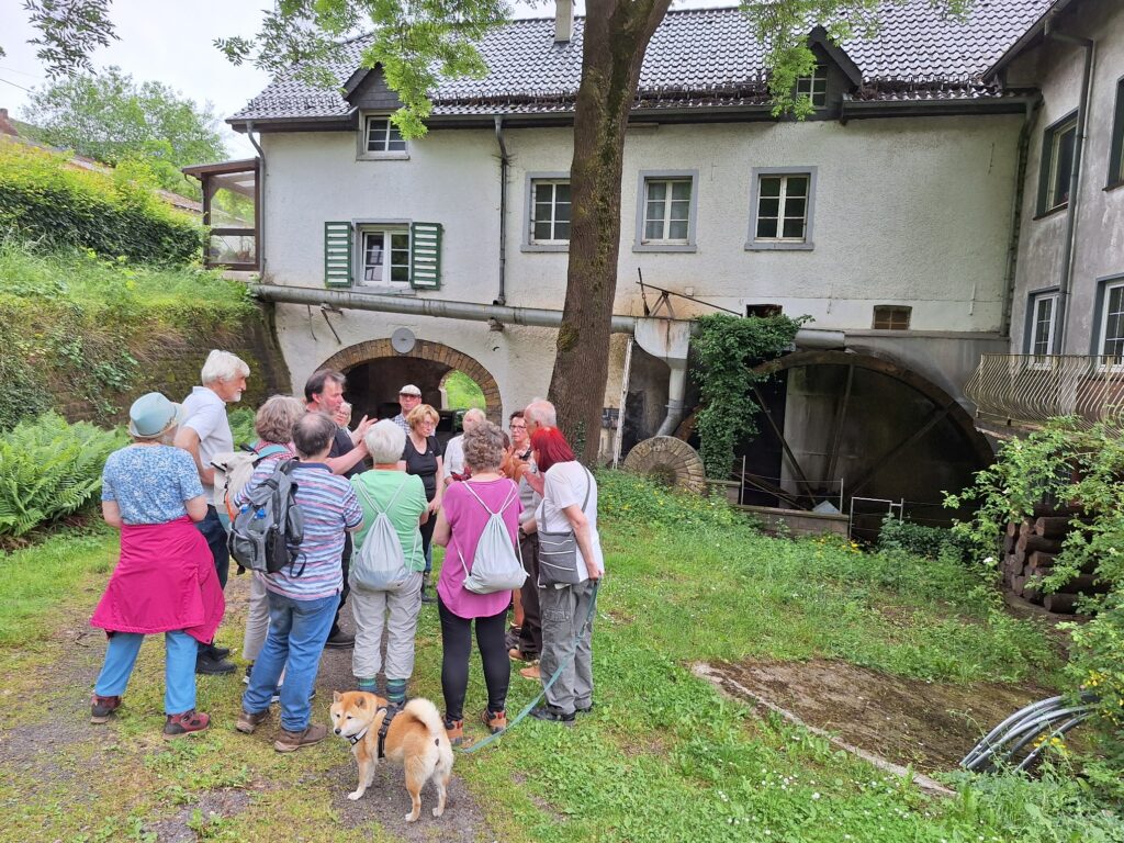 Eine Station der beliebten Erlebnis-Wanderung „Rund um die Kakushöhle“ Ende Mai war die historische Hauserbachmühle. Foto: Gabi Schumacher/pp/Agentur ProfiPress