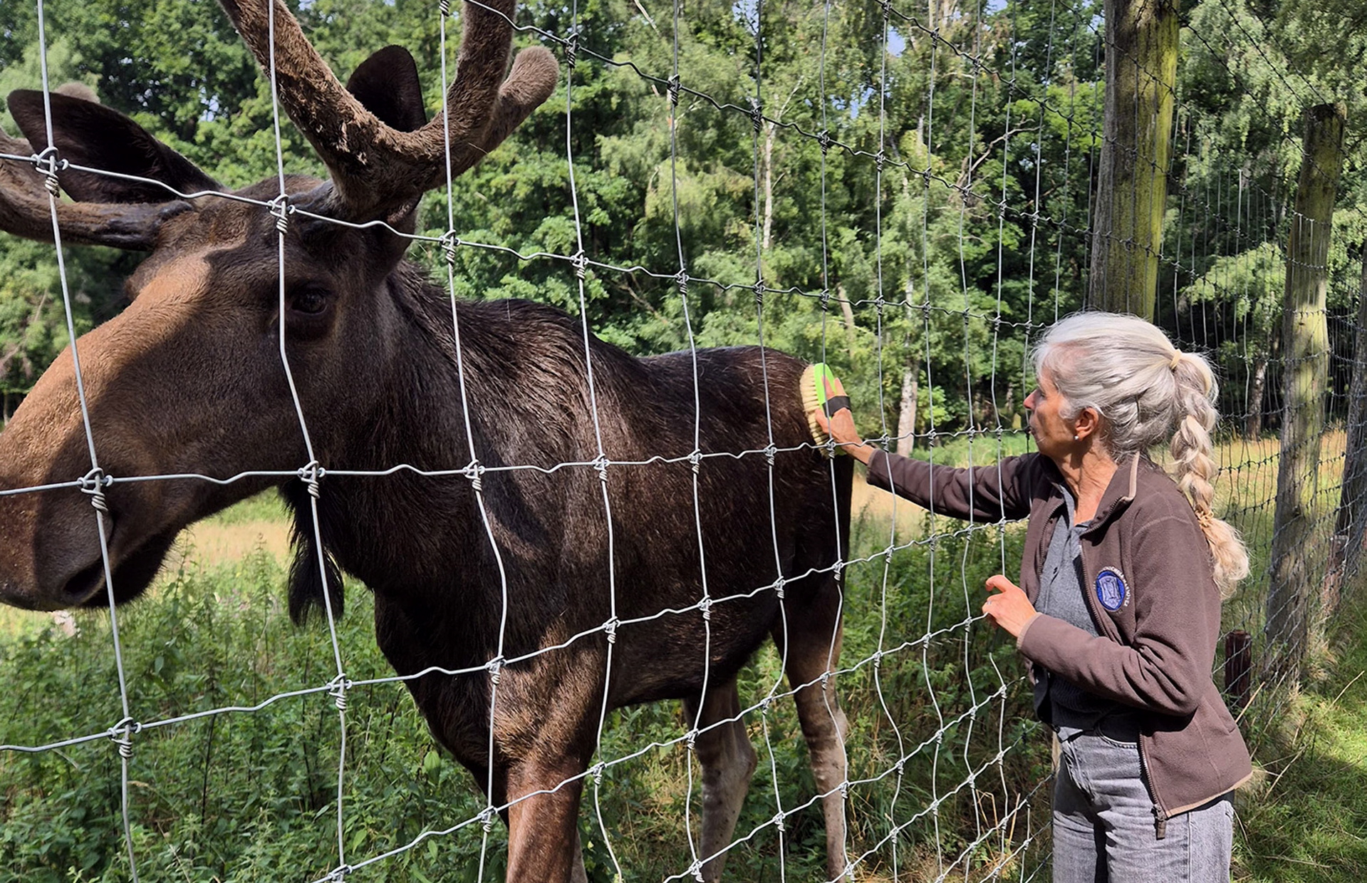 Mit Herz, Kreativität und Liebe zur Natur