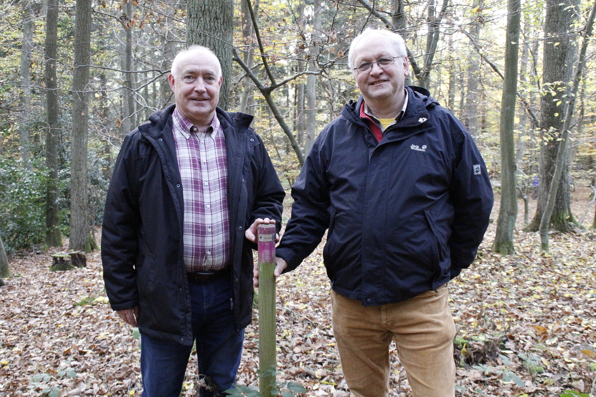 Den Gotteswald kennenlernen
