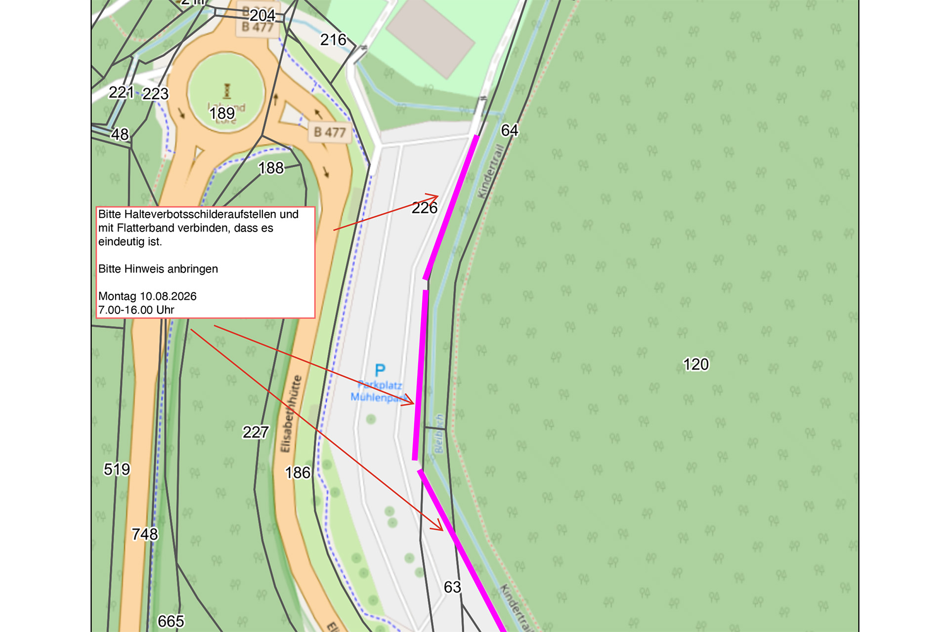 Baumfällarbeiten am Mühlenpark
