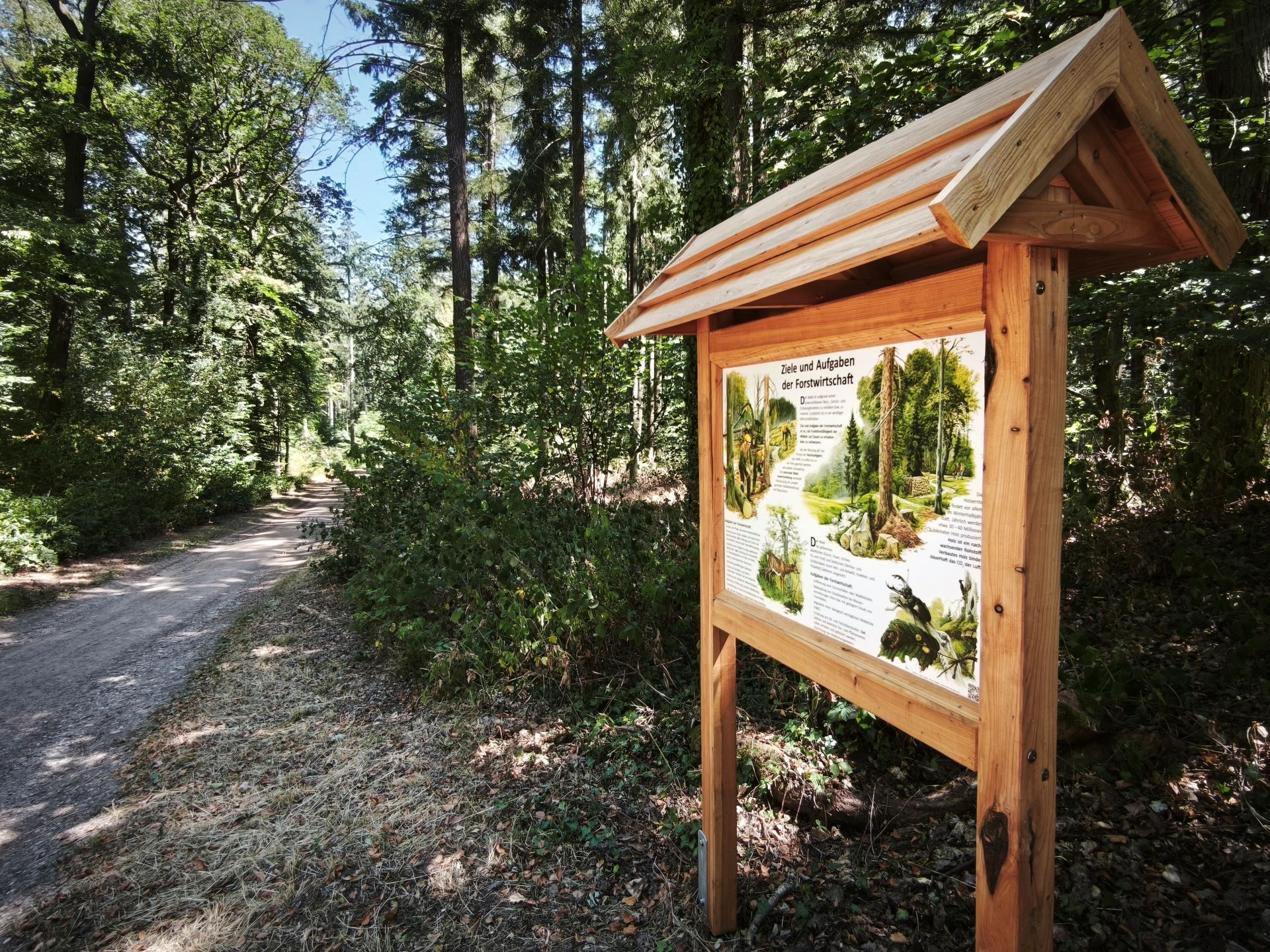 Ökologie für Anfänger: Die Plakate sind extra anschaulich gestaltet, unter anderem mit Bildern von Tieren, so dass besonders kleine Waldbesucherinnen und Waldbesucher neugierig werden. Foto: Kerstin Rottland/pp/Agentur ProfiPress