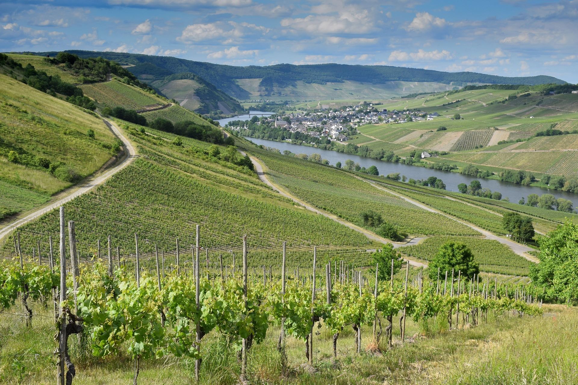 Mit dem Roten Kreuz an die Mosel