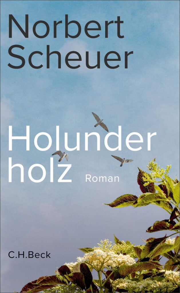 Beschädigte Tonbänder, eine Familiengeschichte voller Leerstellen und die Katastrophe von Prüm: In „Holunderholz“ lässt Norbert Scheuer Gegenwart und Nachkriegszeit auf charakteristische Weise ineinanderfließen. Der Roman ist zugleich als Auftakt einer neuen Eifel-Trilogie angekündigt. Repro: C.H.Beck/pp/Agentur ProfiPress