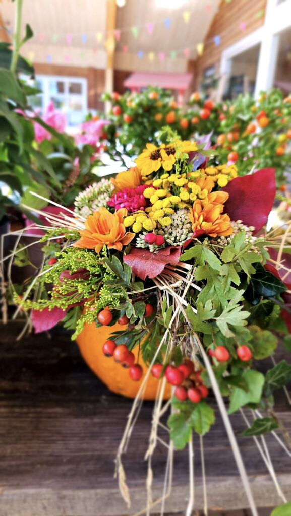 Im Kürbisfloristik-Workshop auf dem Krewelshof Eifel sind alle Materialien – Kürbisse, herbstliche Blumen und Naturmaterialien – inklusive. Foto: Krewelshof/pp/Agentur ProfiPress