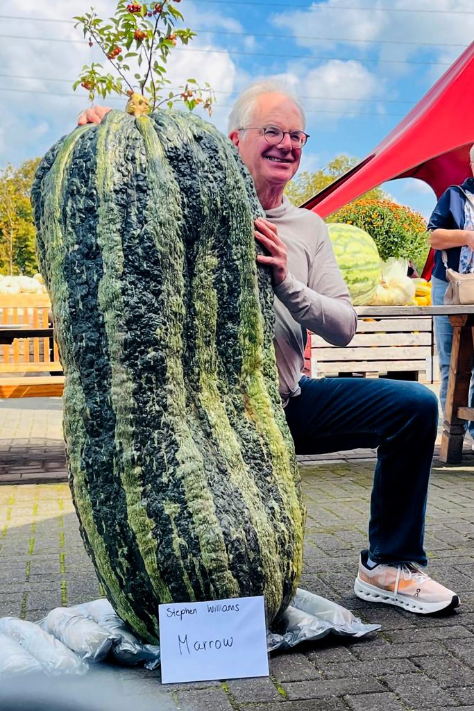 Ein König mit seinem 73-Kilo-Gemüse: Stephen Williams aus Bonn präsentierte stolz die Marrow-Zucchini, mit der er den deutschen Rekord aus dem Vorjahr um weitere fünf Kilogramm verbesserte. Foto: Krewelshof/pp/Agentur ProfiPress