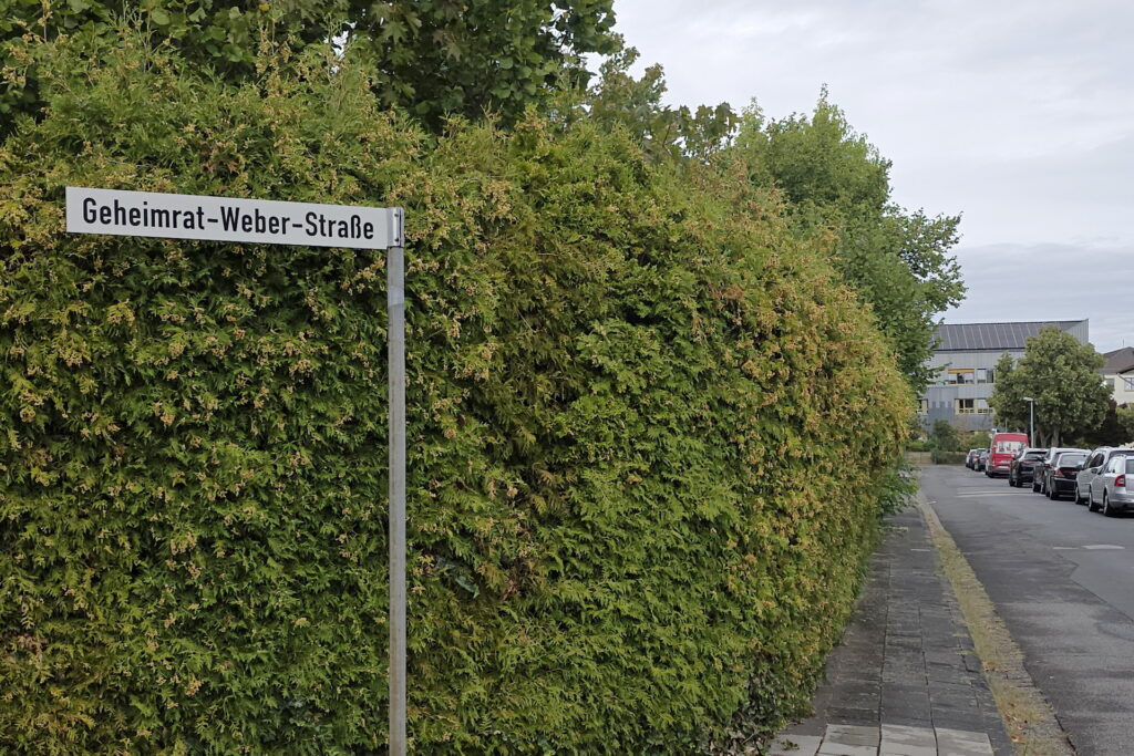 In seiner Geburtsstadt Mechernich wurde diese Straße in der Nähe es Kreiskrankenhaues nach dem Nationalökonomen Adolf Weber benannt. Foto: Manfred Lang/pp/Agenur ProfiPress