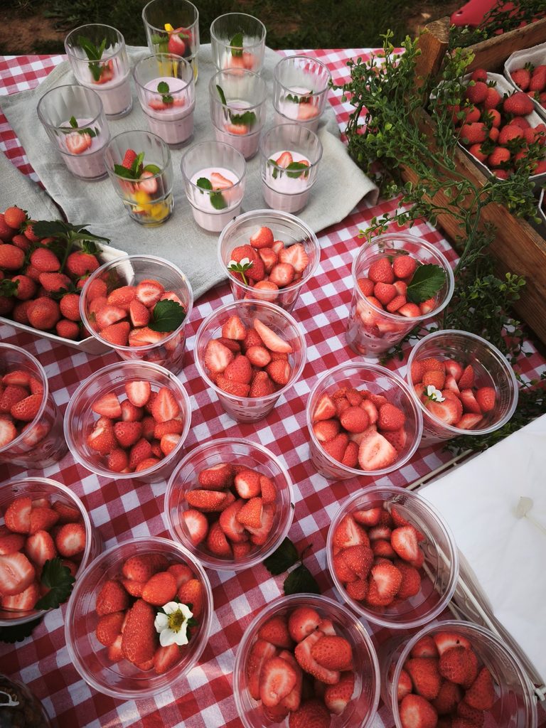 Leckeres und Dekoratives aus süßen Erdbeeren: damit kennt man sich auf dem Krewelshof Eifel bestens aus. Foto: Kerstin Rottland/pp/Agentur ProfiPress