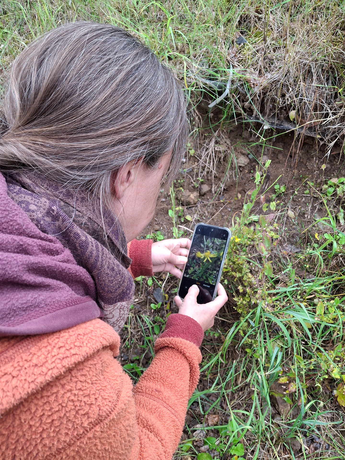 Am 6. Oktober können junge und ältere Naturforscher rund um Haus Bollheim die Artenvielfalt vor ihrer Haustür erkunden und dabei das eigene Smartphone zum digitalen Bestimmungsbuch machen. Foto: Biologische Station Euskirchen e.V./pp/Agentur ProfiPress