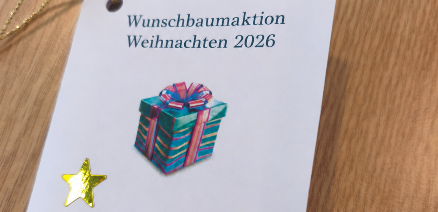 154 liebevoll gestaltete Wunschkarten können von netten Menschen beim Rathausbesuch vom Baum genommen werden. Bewohnerinnen und Bewohner des Barbarahofes und Kreuserstifts, die sonst womöglich vom Christkind vergessen würden, erhalten so zum Fest eine Freude. Foto: Kerstin Rottland/pp/Agentur ProfiPress