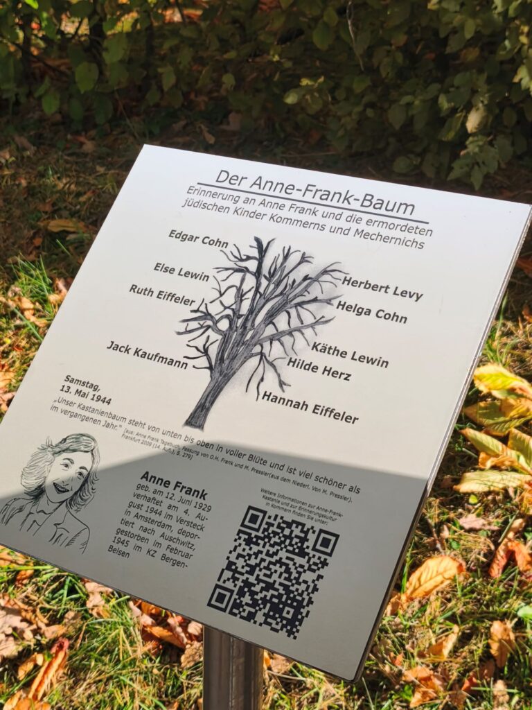 Erinnerung, die weiterwächst: Die neue Informationstafel am jüdischen Friedhof erläutert die Geschichte des Anne-Frank-Baumes. Die junge Kastanie stammt von jenem Baum in Amsterdam ab, den Anne Frank aus ihrem Versteck sehen konnte. Foto: Kerstin Rottland/pp/Agentur ProfiPress